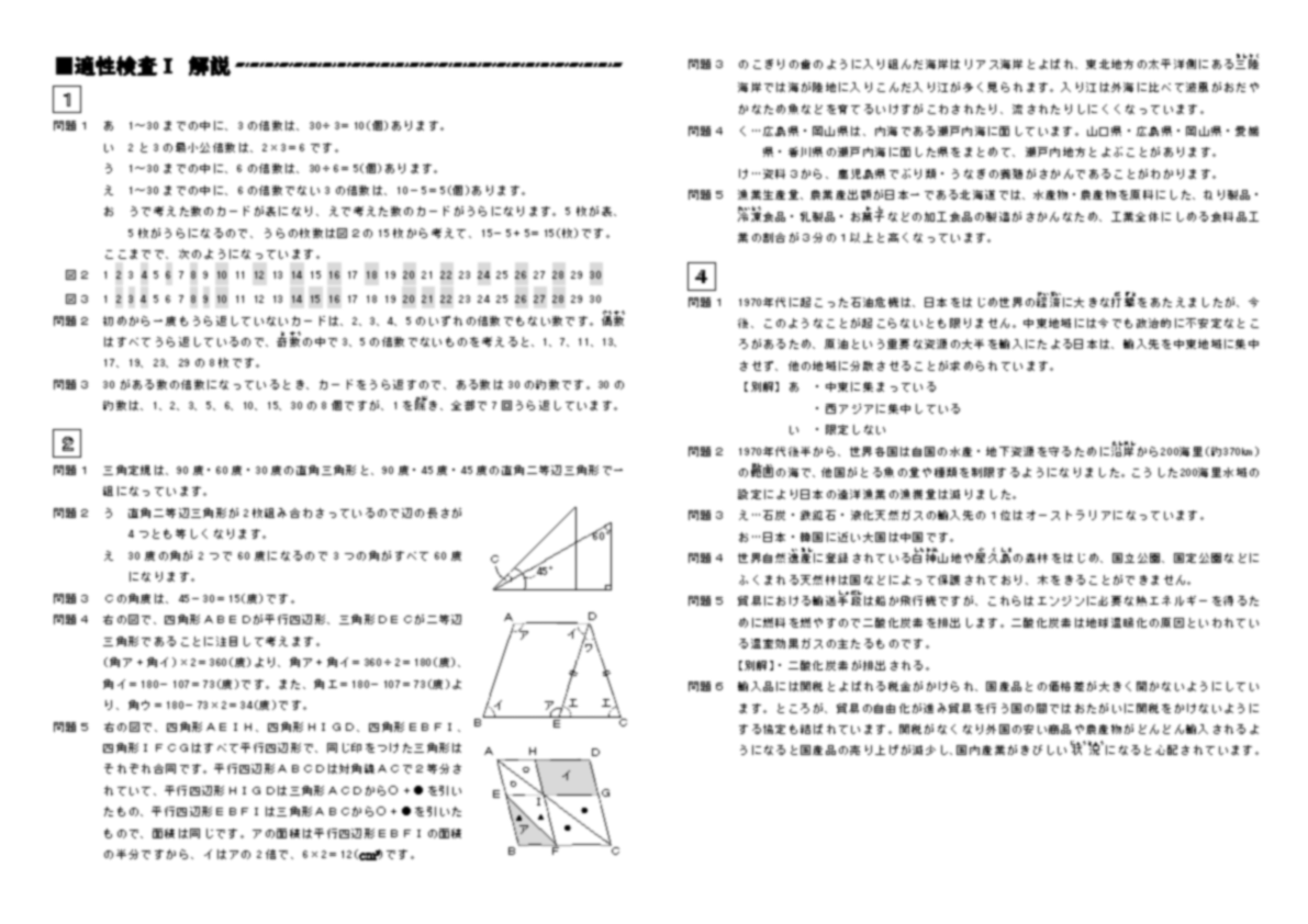 県立中入試模試 POINT2 詳しくてよく分かる解答解説